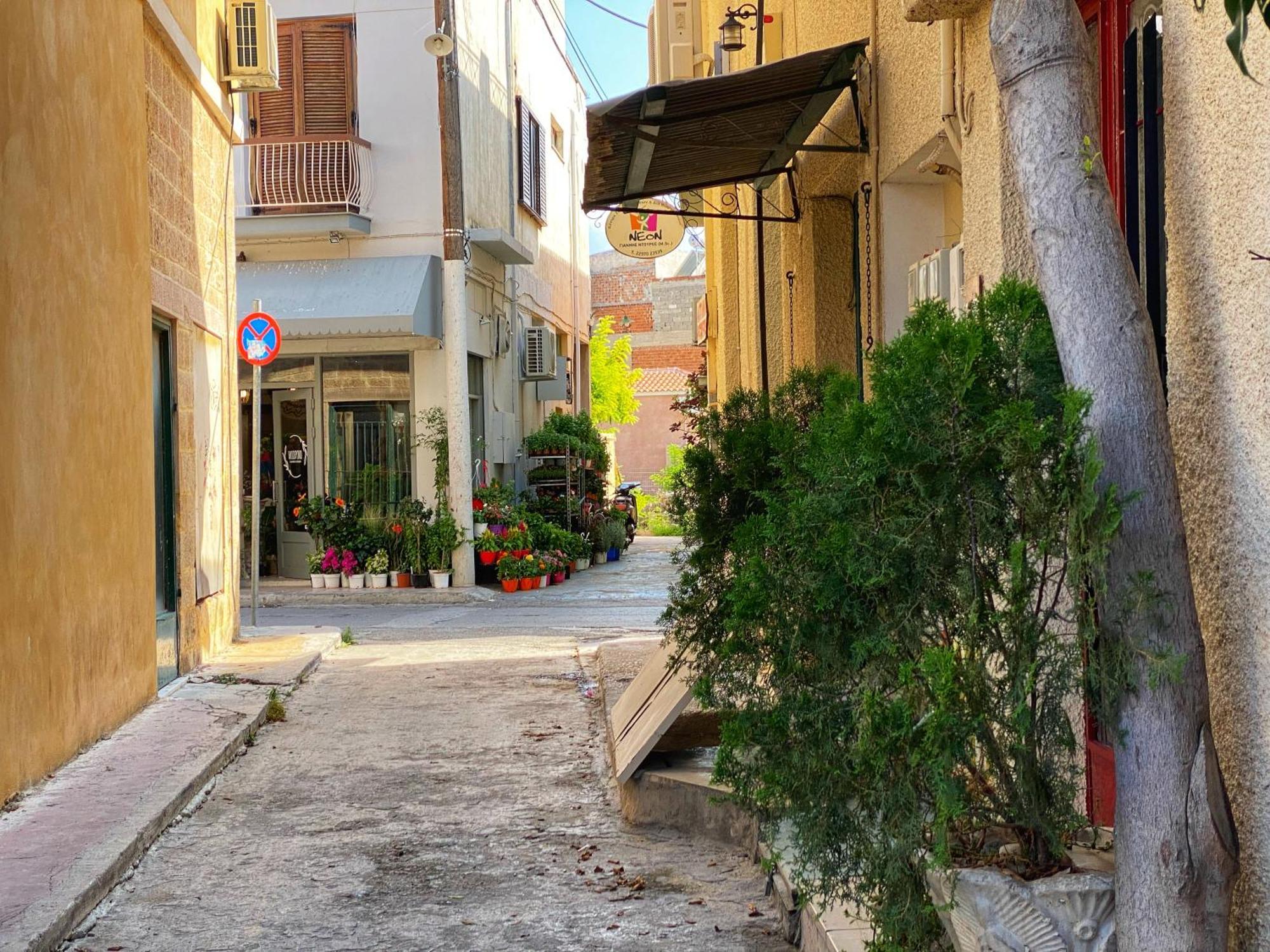 Nasos Aegina Apartment 외부 사진